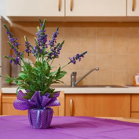 Mande And Kate Lejlighed